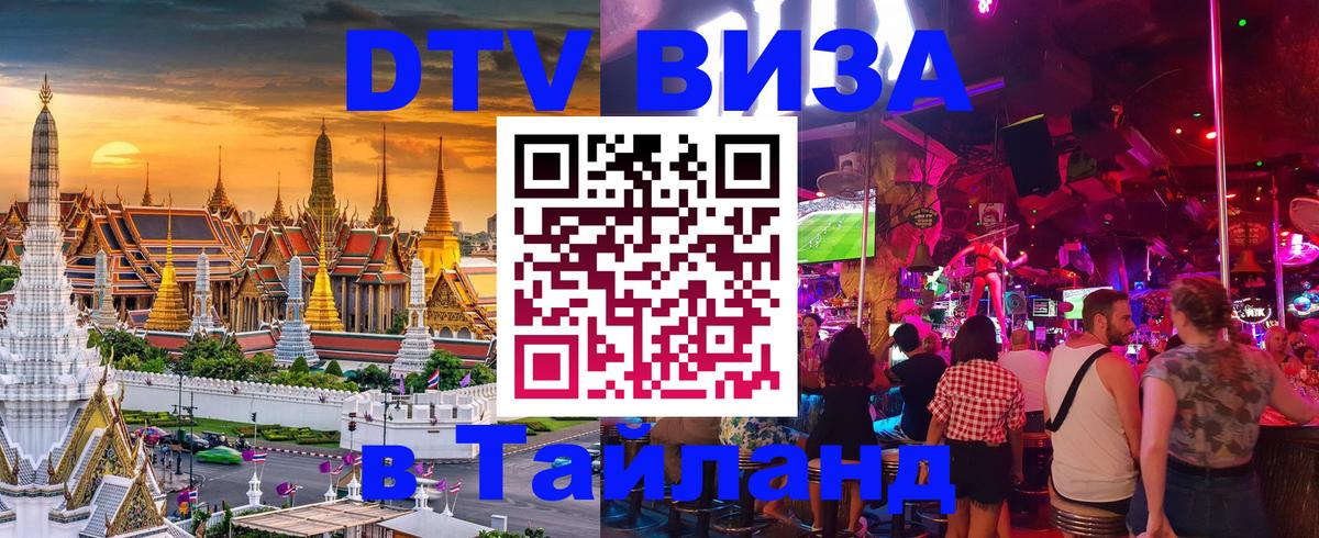 Оформление DTV визы под ключ: стоимость и тарифы, только загранпаспорт - Димитровград  04.10.2025 